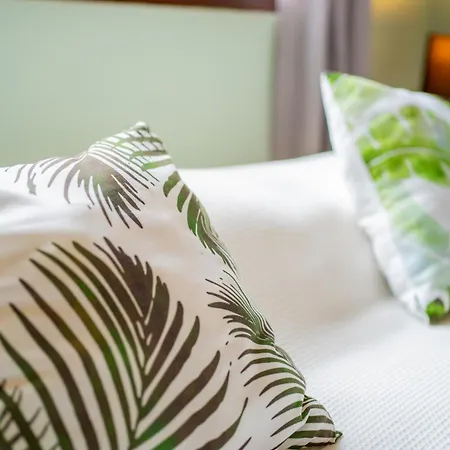 Sirenas Caribbean Rooms Holbox Exterior photo