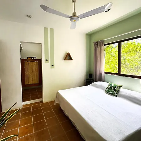 Sirenas Caribbean Rooms Holbox Exterior photo