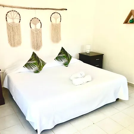 Sirenas Caribbean Rooms Holbox Exterior photo