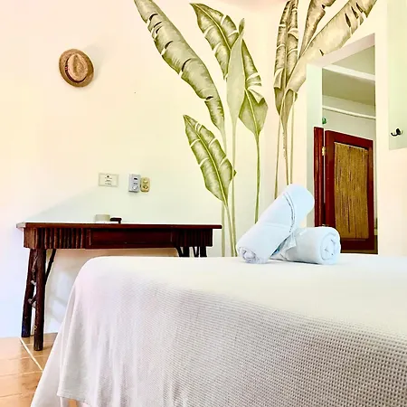 Sirenas Caribbean Rooms Holbox Exterior photo