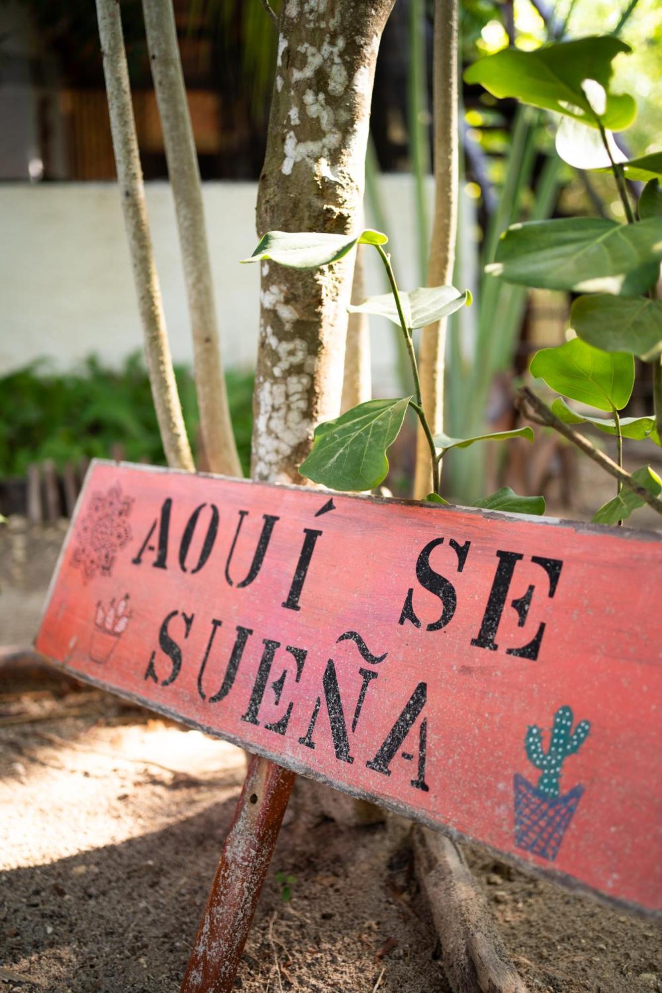 Sirenas Caribbean * Ilha Holbox