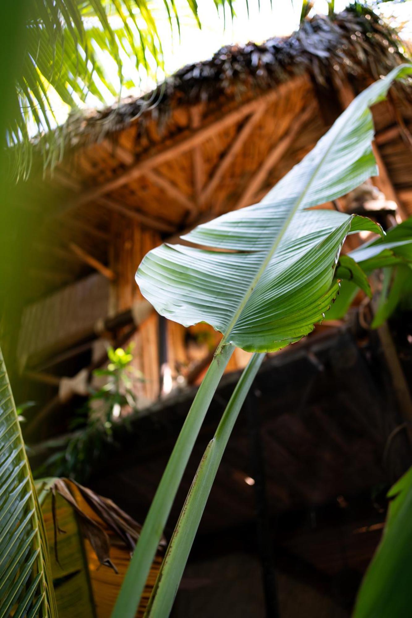 Sirenas Caribbean Holbox Hotel Isla Holbox