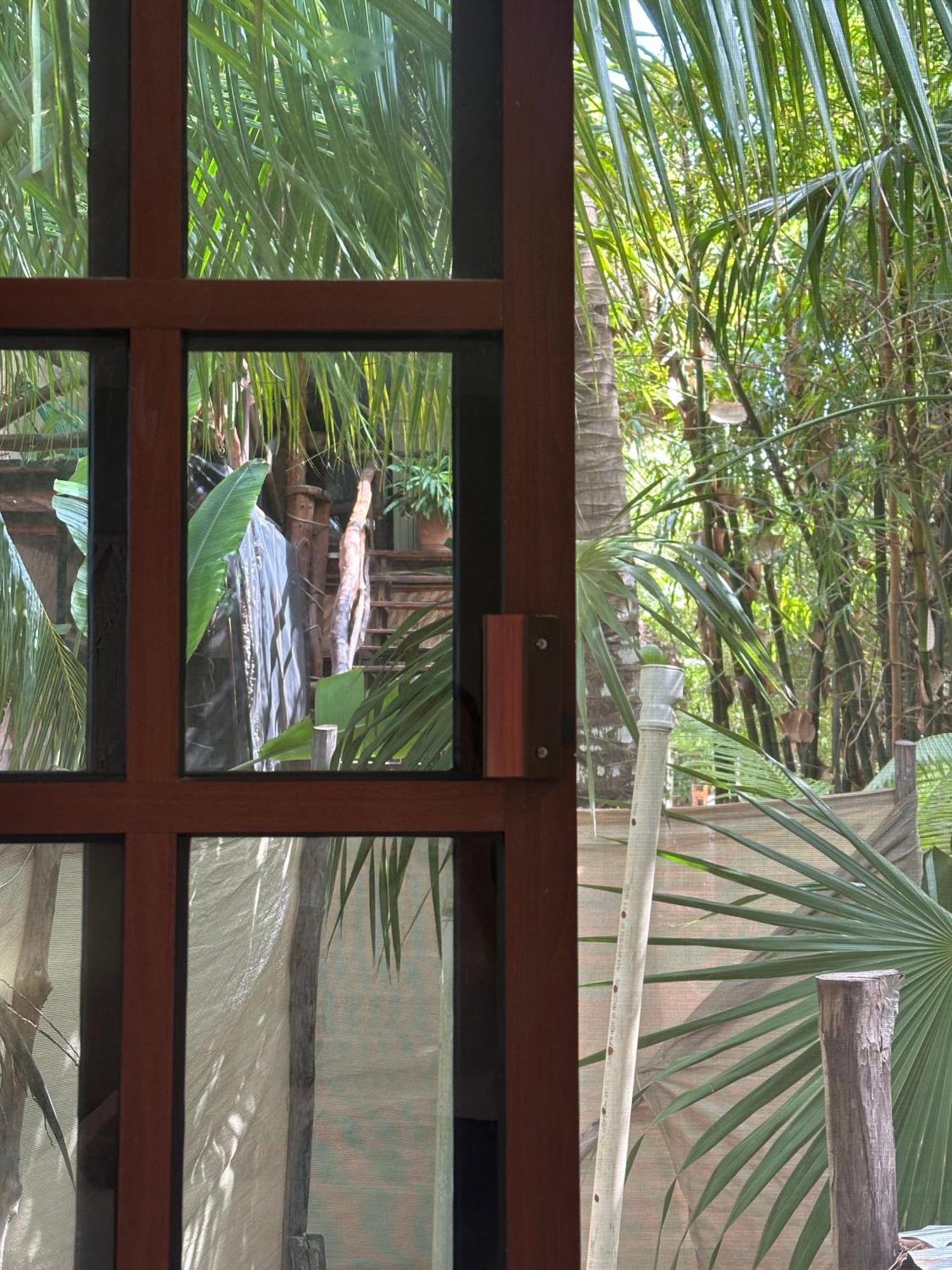Sirenas Caribbean Holbox